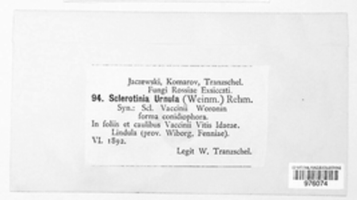Monilinia urnula image